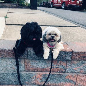 Meet your Posher, Sandra